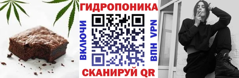 Cannafood марихуана  купить   Сланцы 