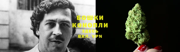 СК Белокуриха