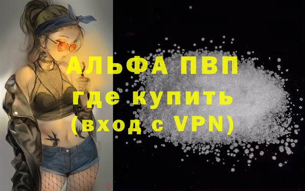 СК Белокуриха