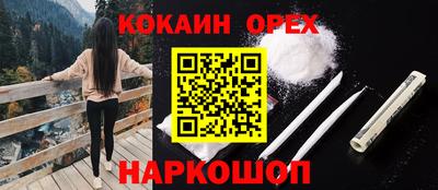 СК Сланцы