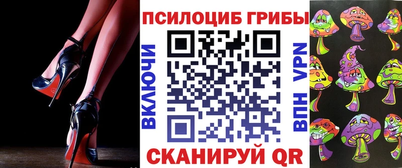Псилоцибиновые грибы мицелий  Сланцы 