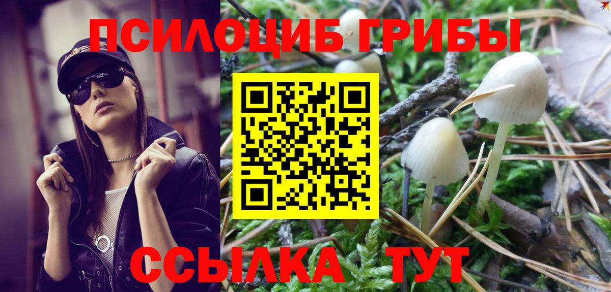 Галлюциногенные грибы мухоморы Сланцы
