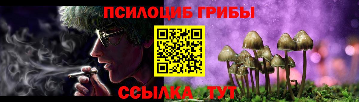 хочу наркоту  Вход с VPN  Сланцы  Галлюциногенные грибы мицелий  Псилоцибиновые грибы мухоморы 
