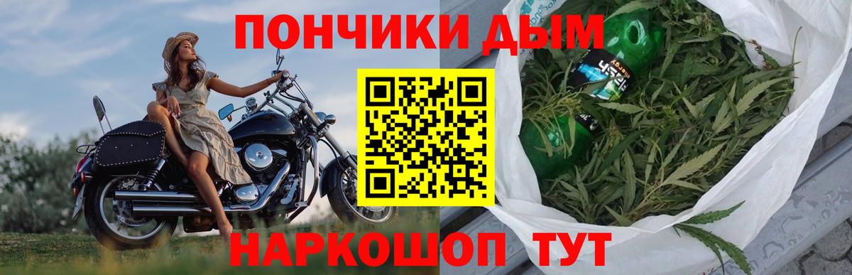 Шишки марихуана SATIVA & INDICA Сланцы